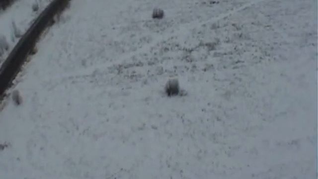 Antenna 60m Exit смотреть онлайн