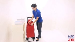 Тележка с сумкой POLIESTER LISO шасси R4 (10R4)