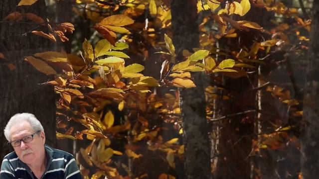 О любви не говорят🎶Михаил Лейкин(cover) смотреть онлайн