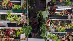 Новые стеллажи на окно