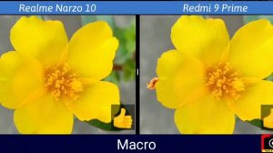 Redmi 9 prime vs Realme Narzo 10 camera Comparison | Redmi 9 Prime camera review | Tech 4 Camera