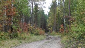 Видеозарисовка  -  Таёжная осень