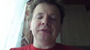 Капитанская дочка, краткое содержание