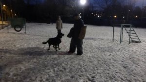 Босерон Альфа Сагиттариус Отакар и инструктор Александр Луговской.