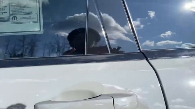 2020 Grand Cherokee altitude 38l300 смотреть онлайн