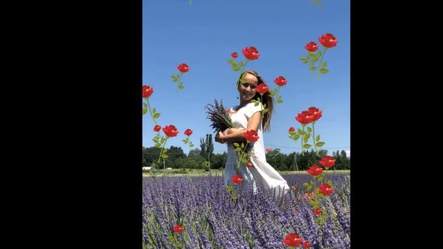 Аромаретрит в Провансе смотреть онлайн