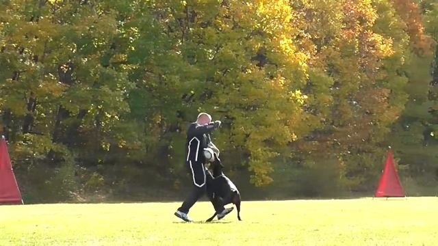 6.ЮМА МИРАКЛ ИЗ БАНДЫ ГАРРИ IGP-1 раздел С