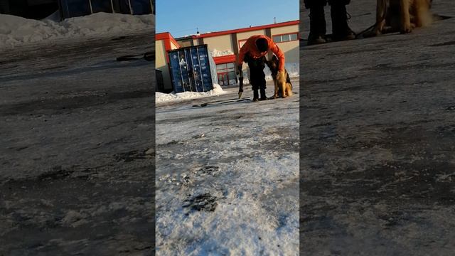 27 февраля 2023 г. смотреть онлайн