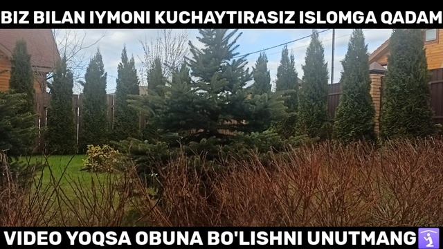 БУ ҚИЗ ҚИЛГАН ИШИ УЗБЕК ҚИЗИ МАС ДЕЙСИЗ  Шукуруллох домла Shukurullox domla