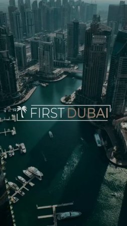 First Dubai 🤍 #realestate #travel #недвижимость #бизнес #beach #love #путешествия #инвестиции #успе