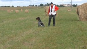 9. НАТАСКА ЛЕГАВЫХ  / ГОНЬБА часть 2