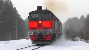 "Первая валюта на Егоршинке". 2ТЭ116К-1107 с контейнерным грузовым поездом