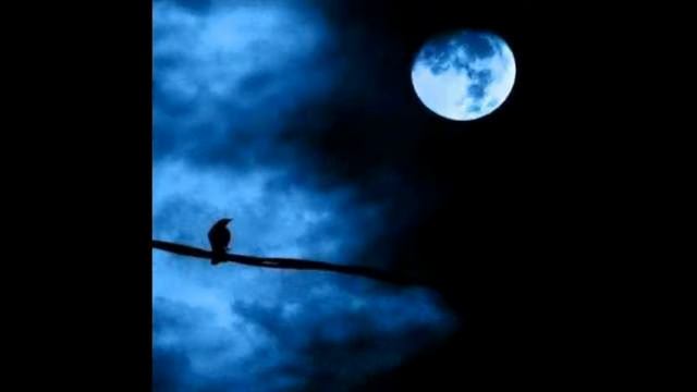 raw depressive atmospheric ambient sinister doom funeral black metal