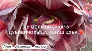 Песня - Да,Нана