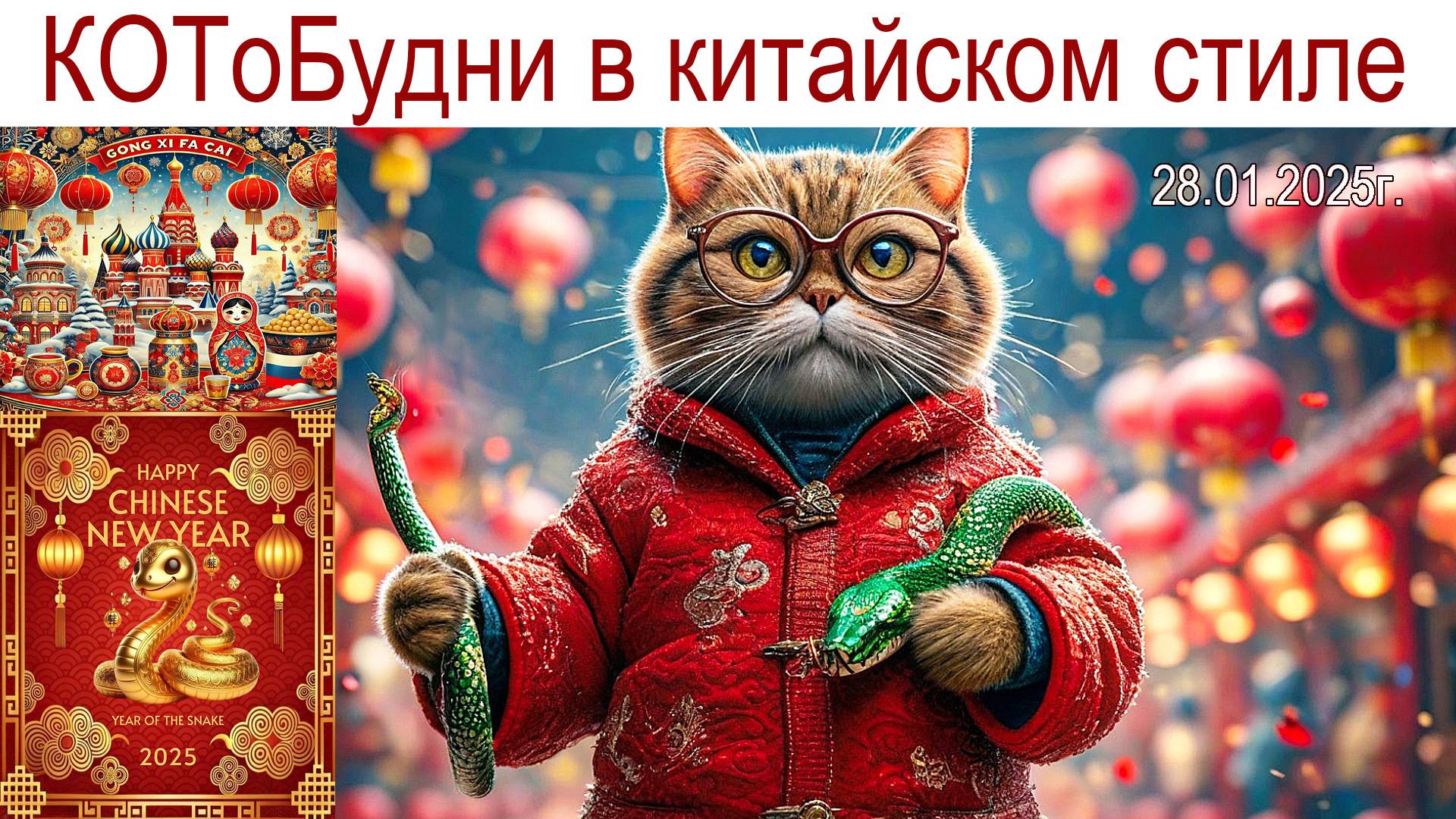 КОТоБудни в китайском стиле... заключительные, 28.01.2025г.