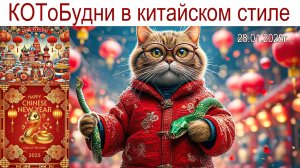 КОТоБудни в китайском стиле... заключительные, 28.01.2025г.