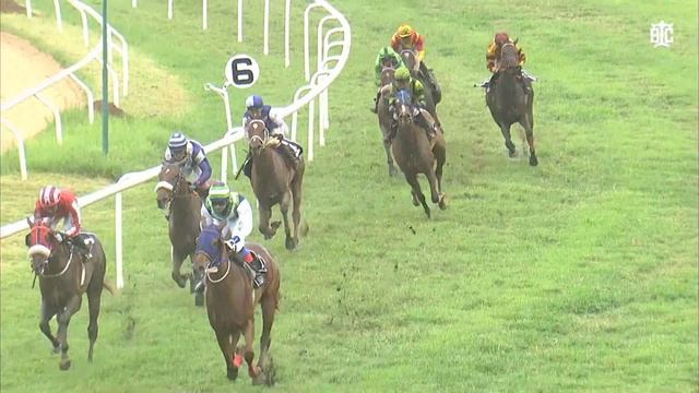 ELUSIVE GIRL | The Adler Plate Div-2 смотреть онлайн