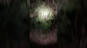 Подводный фонарь Д170