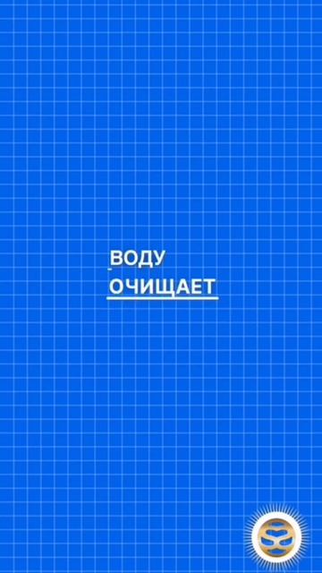 Активированный уголь: 5 неожиданных способов применения 🌿 #здоровье #красота #полезныесоветы