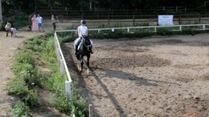 Первые соревнования по выездке Пегаса  манежная езда 1.3 (2016 г)  03.07.22 КСК Петростиль