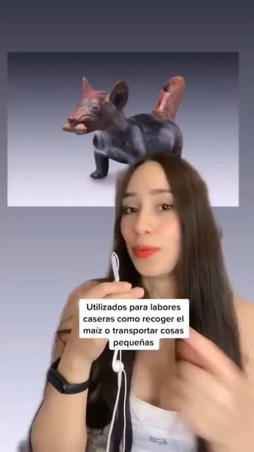 PERROS EXTINTOS: Techichi / Tlachichi 😳 #shorts