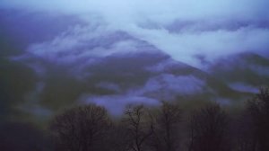 Психологический триллер. "Последний свидетель" Клэр Макфолл. Неожиданный финал