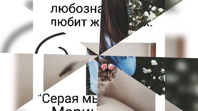 Что почитать девочке - подростку? "Серая мышь для королевы" Эльвира Смелик. #романтика #девушки