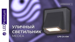 Светильник светодиодный MEDEA LPR-24-6W