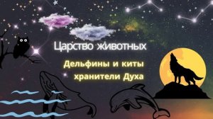 Царство животных. Крайон