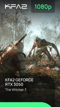 The Witcher 3 | KFA2 X GeForce RTX 3050 Black | 1080p (Full HD) разрешение