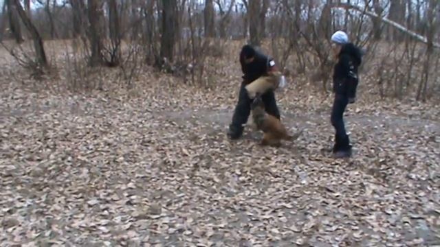 Тервюрен Gledis ot Solnika смотреть онлайн