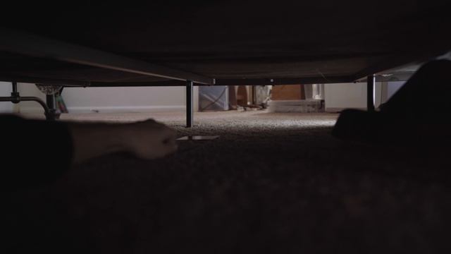 MIKUS - Award-Winning Horror Short Film