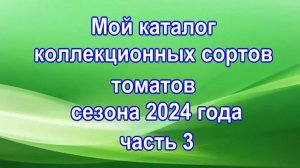 Мой каталог коллекционных сортов томатов сезона 2024 года часть 3