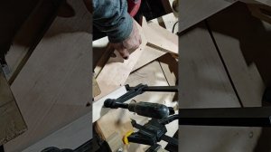 Жизнь продолжается