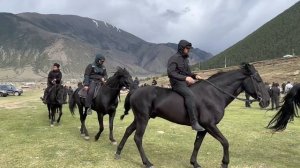 Определение ТОП-20. Переход-Выставка карачаевской породы лошадей 2024.