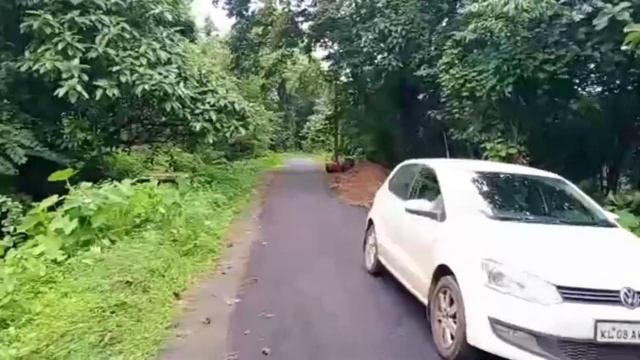 thrissur 10 cent plot for sale only 5 lakhs|84 cent plot only 40 lakhs смотреть онлайн