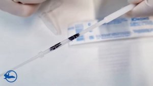 Зонд  Юнона  флокированный. Метод погружения материала в пробирку типа Эппендорф на 1,5 мл