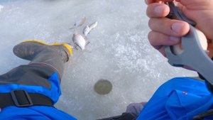 КАК ЛОВИТЬ МНОГО РЫБЫ НЕ ПРИВЛЕКАЯ ВНИМАНИЕ ТОЛПЫ? Зимняя рыбалка на ФИНСКУЮ РАМКУ.