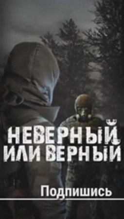 S.T.A.L.K.E.R - Неверный Или Верный. Рассказчик Сидорович