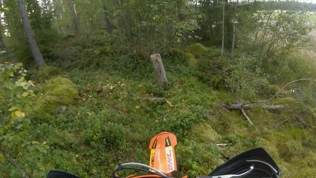 Enduro | Golden Autumn 2021 - KTM EXC 300 TPI, HUSQVARNA TE300I смотреть онлайн