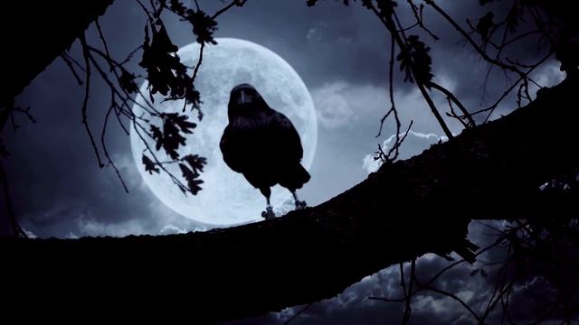 A Duel  By Guy de Maupassant  Fiction Short Story  Full Audiobook