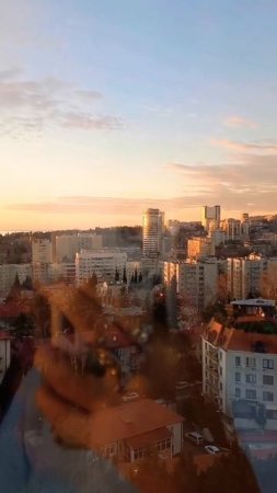 СОЧИ #красота #вид #путешествия #поезд