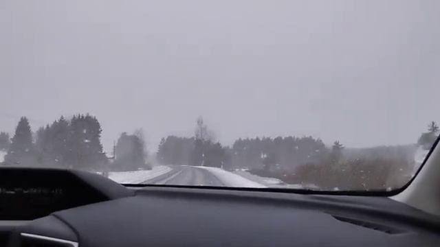 Последний день в Эстонии  в гостях у Наталии/Кейла Йоа – водопад и замок/Питомцы семьи Наталии