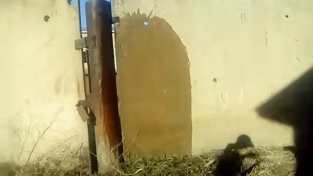 тест презервативов