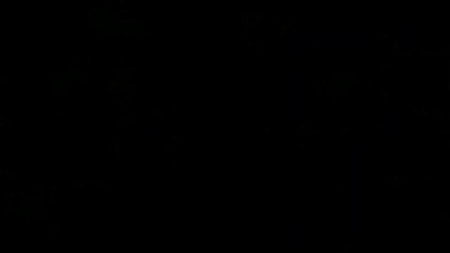 Cool 2w 445 nm laser gun смотреть онлайн