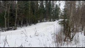 Поездка на чемпионат России по классическому ралли. 
Ралли "Карелия 2025"