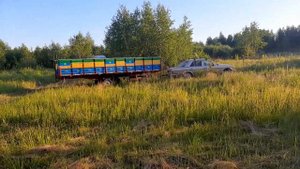 Прицеп платформа, для перевозки пчел, своими руками, кочуем на гречку.