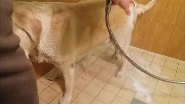 Предновогодняя стирка!!! смотреть онлайн