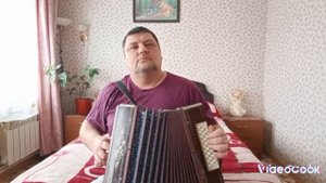 Цой на гармошке 🪗