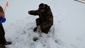 Судаки да Щуки на новенького, оз.  Вселуг